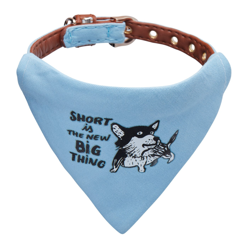 Tiny dog collar - 'Small is the new big thing'